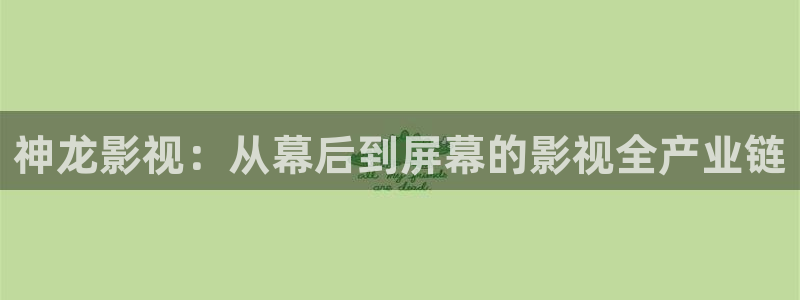 飘雪影院电影免费观看：神龙影视：从幕后到屏幕的影视全产业链