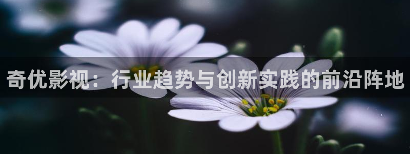 飘雪影院免费观看完整版高清：奇优影视：行业趋势与创新实践的前沿阵地