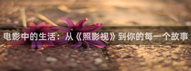 飘雪影院高清电影：电影中的生活：从《照影视》到你的每一个故事
