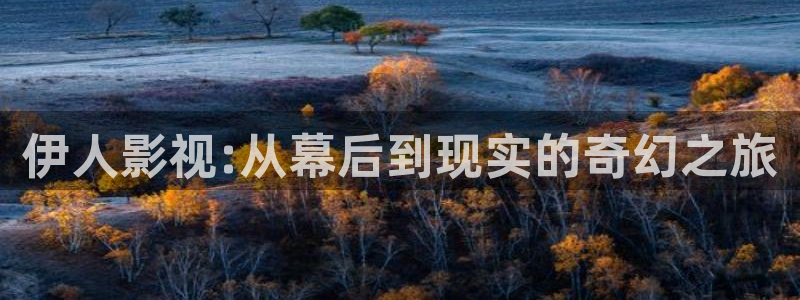 飘雪影院完整版在线观看：伊人影视:从幕后到现实的奇幻之旅