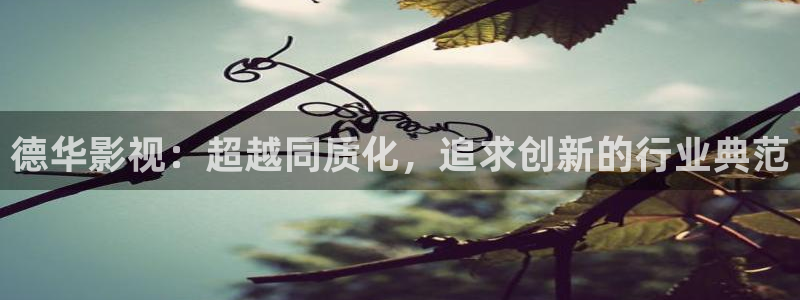飘雪影视免费：德华影视：超越同质化，追求创新的行业典范