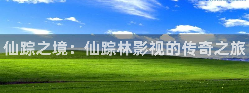 飘雪影院免费观看电视剧电影：仙踪之境：仙踪林影视的传奇之旅
