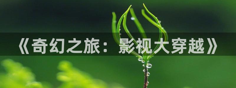 飘雪影院手机观看免费完整版高清：《奇幻之旅：影视大穿越》